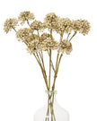 Artificial classic brown Allium stem by Hill Interiors, showcasing realistic, textured flower with slender green stem.