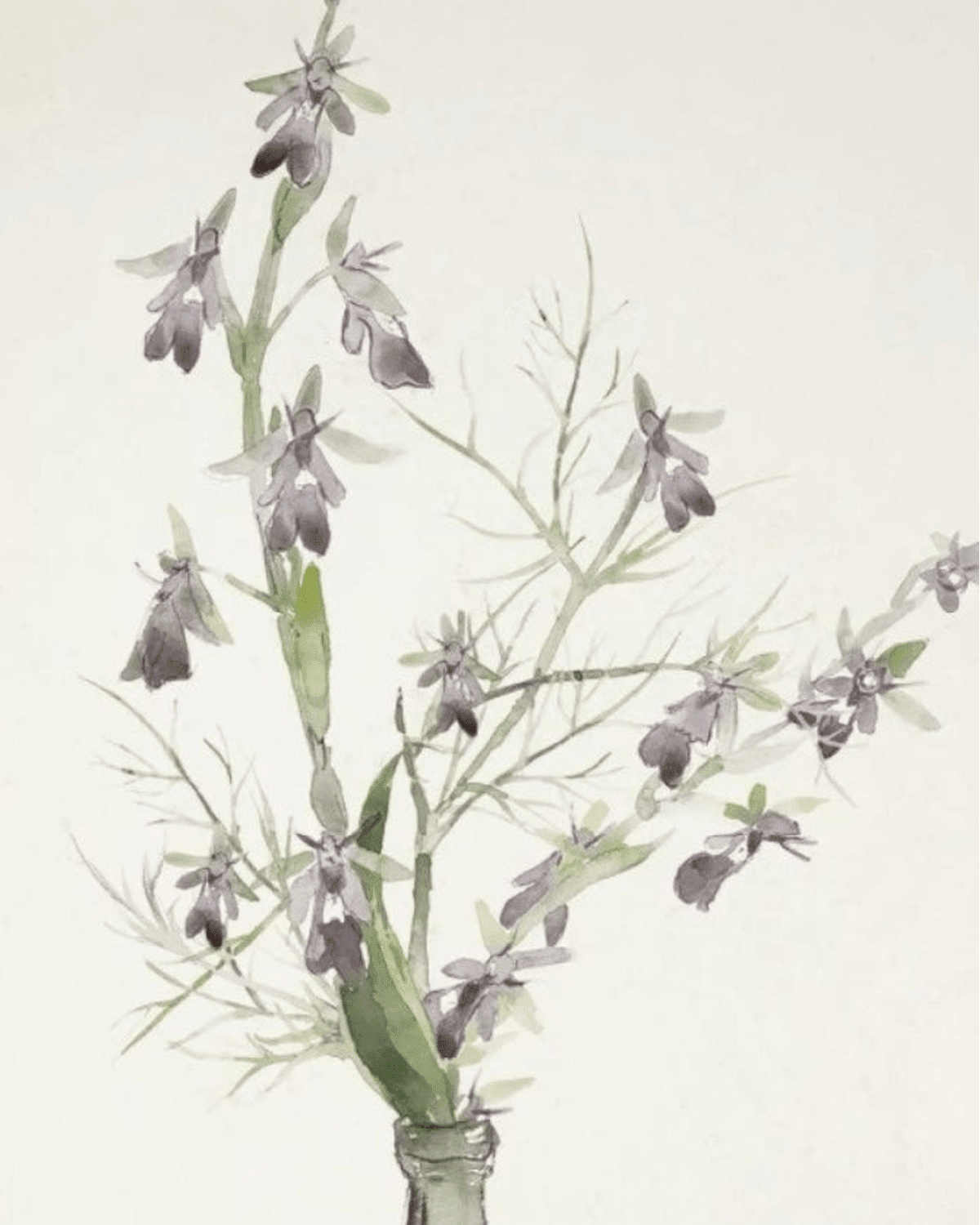 Art Marketing - Canvas Framed Print, Amethyst Orchids - PRE ORDER FOUR WEEK DELIVERY