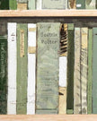 Collage of book spines with 'Beatrix Potter' and other titles on a wooden surface
