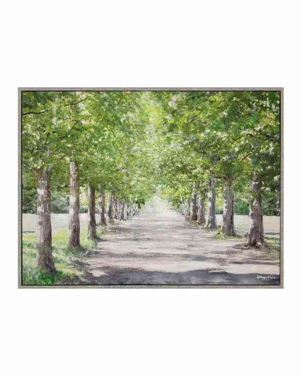 Art Marketing - Canvas Framed Print, Avenue of Trees - PRE ORDER FOUR WEEK DELIVERY