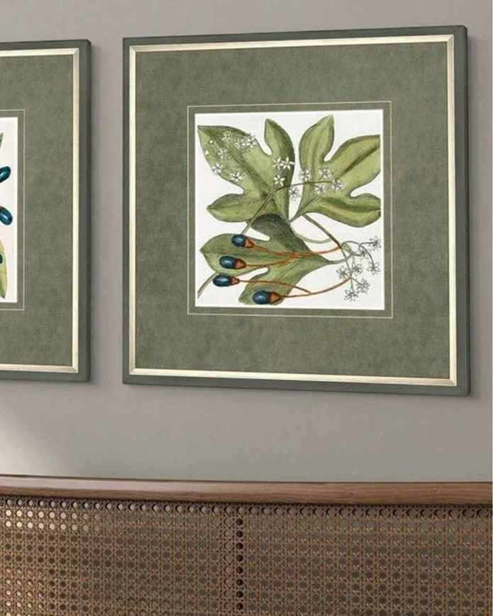 Art Marketing - Canvas Framed Print, Botanical Beauty - PRE ORDER FOUR WEEK DELIVERY