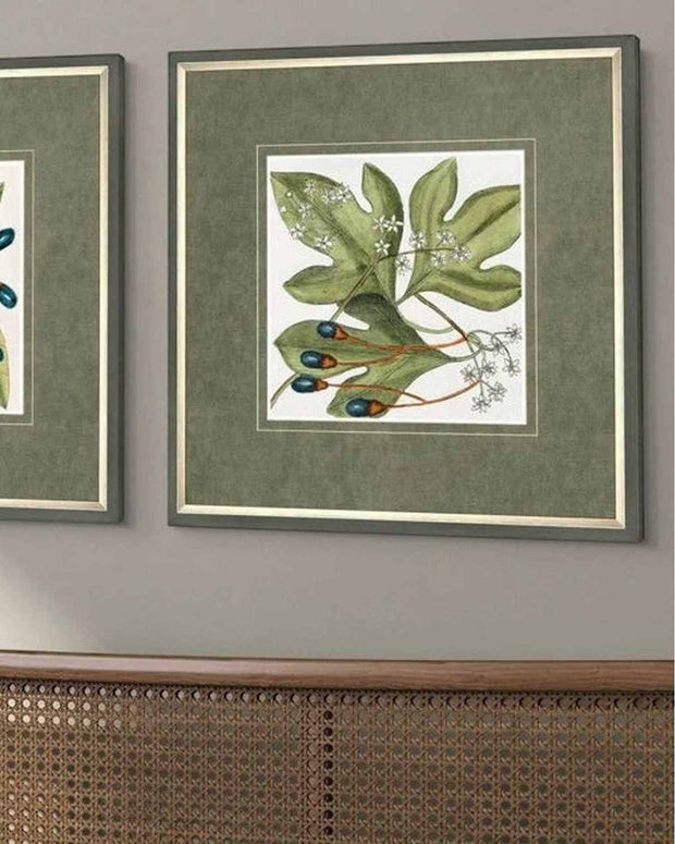 Art Marketing - Canvas Framed Print, Botanical Beauty - PRE ORDER FOUR WEEK DELIVERY