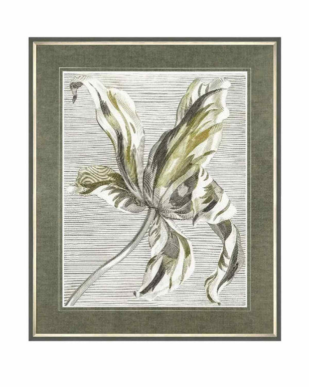 Art Marketing - Canvas Framed Print, Tulip Bloom - PRE ORDER FOUR WEEK DELIVERY - Posters, Prints, & Visual ArtworkPosters, Prints, & Visual Artwork - Lulu Loves Home