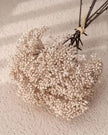 Artificial Beige Mini Allium Bunch