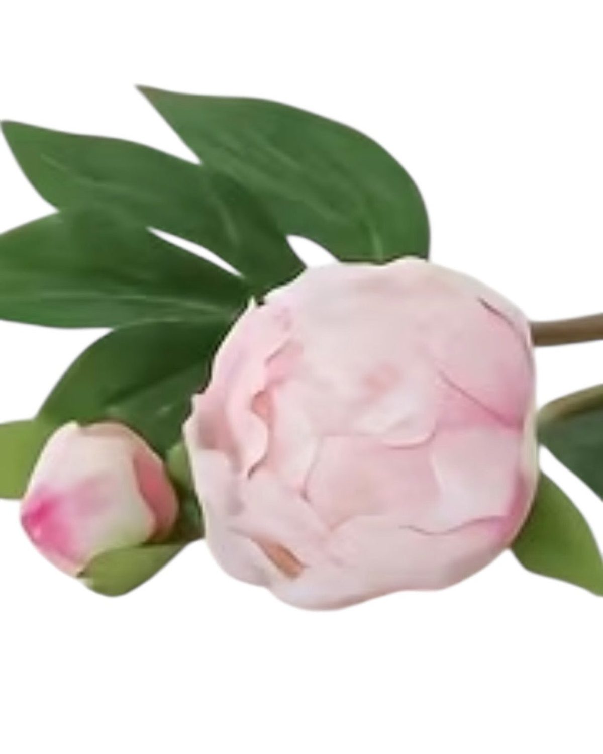 Artificial Luxury Pale Pink Double Peony Flower Stems - Set of Five