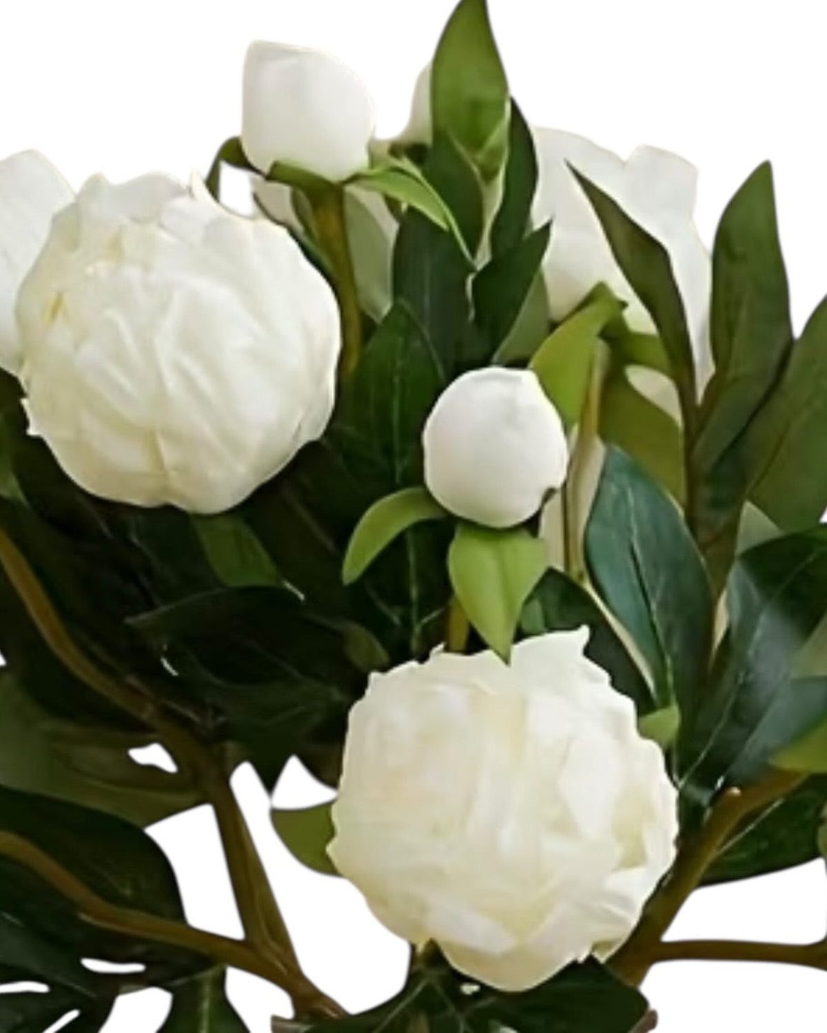 Artificial Luxury White Double Peony Flower Stems - Set of Five