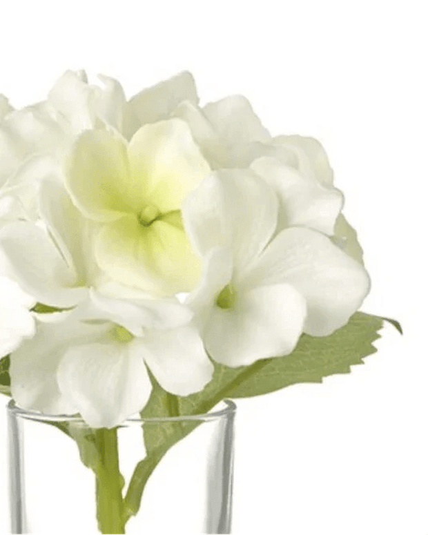 Artificial Mini White Hydrangea Stem In A Glass Bud Vase - Faux Plants & FlowersFaux Plants & Flowers - Lulu Loves Home