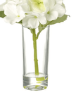 Artificial Mini White Hydrangea Stem In A Glass Bud Vase - Faux Plants & FlowersFaux Plants & Flowers - Lulu Loves Home