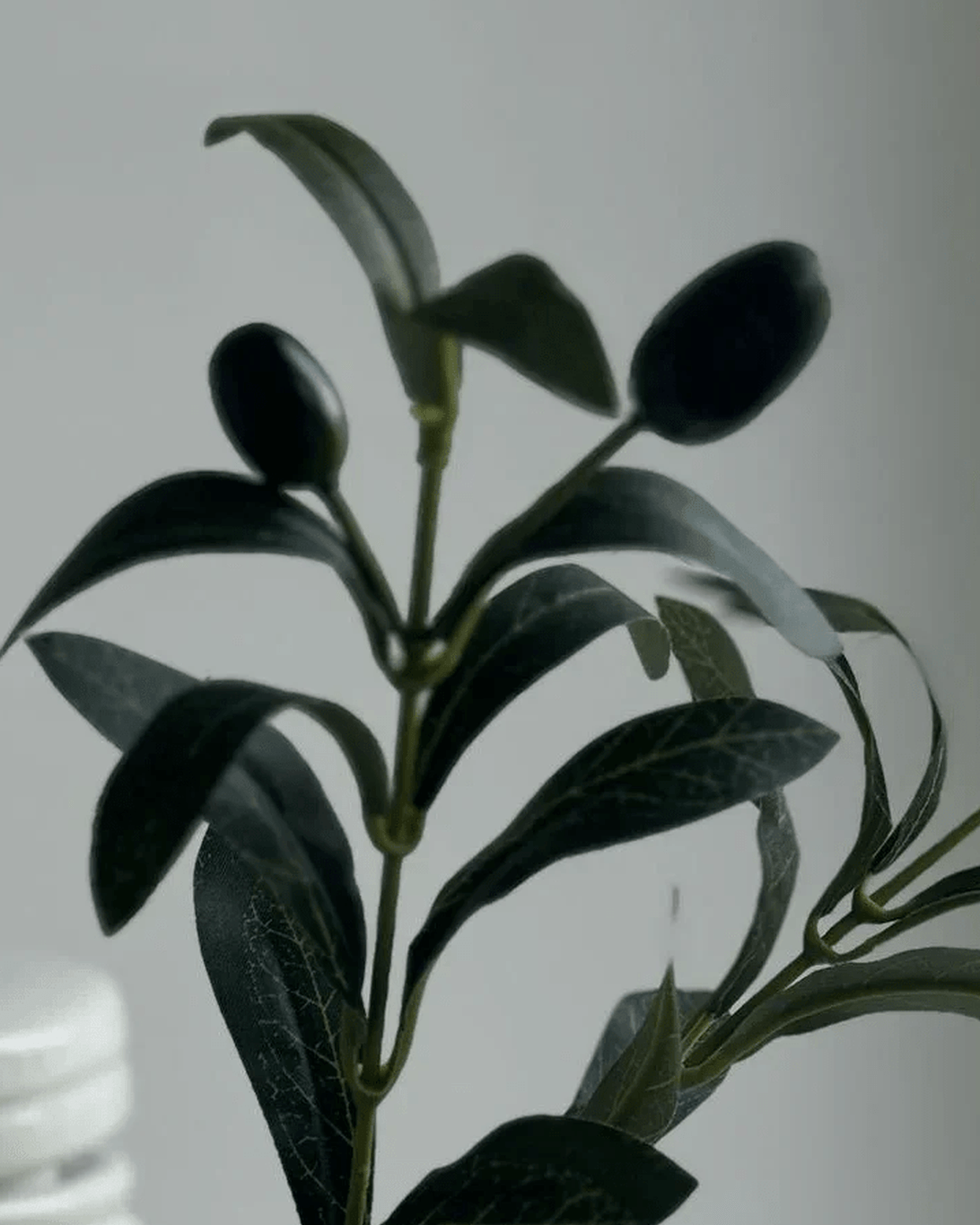 Artificial Olive Branch Mini – Mediterranean Faux Stem - Faux Plants & FlowersFaux Plants & Flowers - Lulu Loves Home