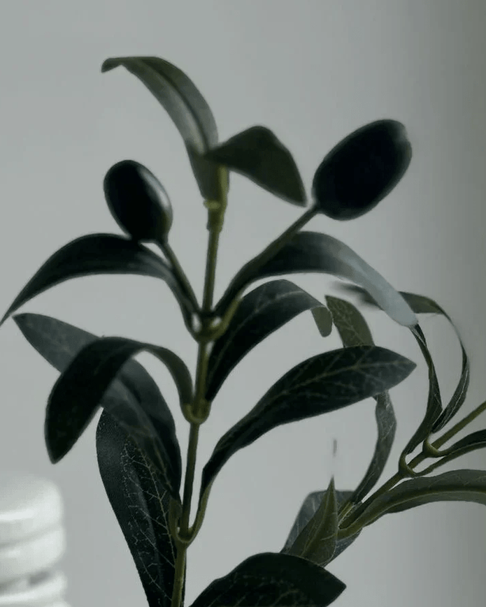 Artificial Olive Branch Mini – Mediterranean Faux Stem - Faux Plants & FlowersFaux Plants & Flowers - Lulu Loves Home