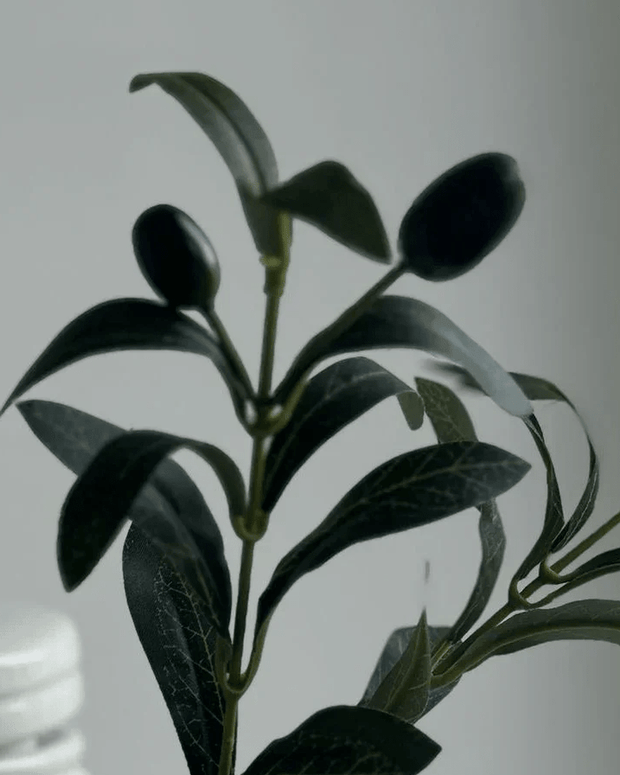 Artificial Olive Branch Mini – Mediterranean Faux Stem - Faux Plants & FlowersFaux Plants & Flowers - Lulu Loves Home
