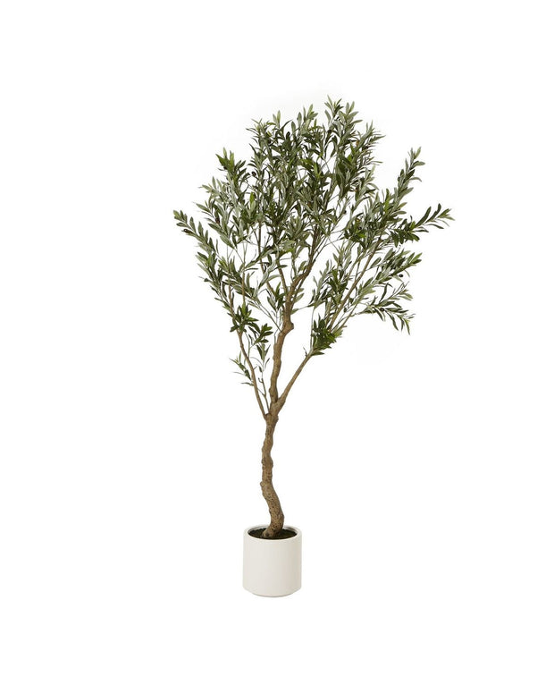 Artificial Potted Olive Tree - Extra Large - Apulia - PRE ORDER THREE WEEK DELIVERY
