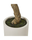 Artificial Potted Olive Tree - Extra Large - Apulia - PRE ORDER THREE WEEK DELIVERY