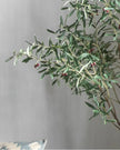 Artificial Potted Olive Tree - Extra Large - Florence - PRE ORDER FOUR WEEK DELIVERY - Faux Plants & FlowersFaux Plants & Flowers - Lulu Loves Home