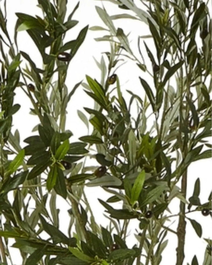 Artificial Potted Olive Tree - Huge - Apulia - Faux Plants & FlowersFaux Plants & Flowers - Lulu Loves Home