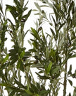 Artificial Potted Olive Tree - Huge - Apulia - Faux Plants & FlowersFaux Plants & Flowers - Lulu Loves Home