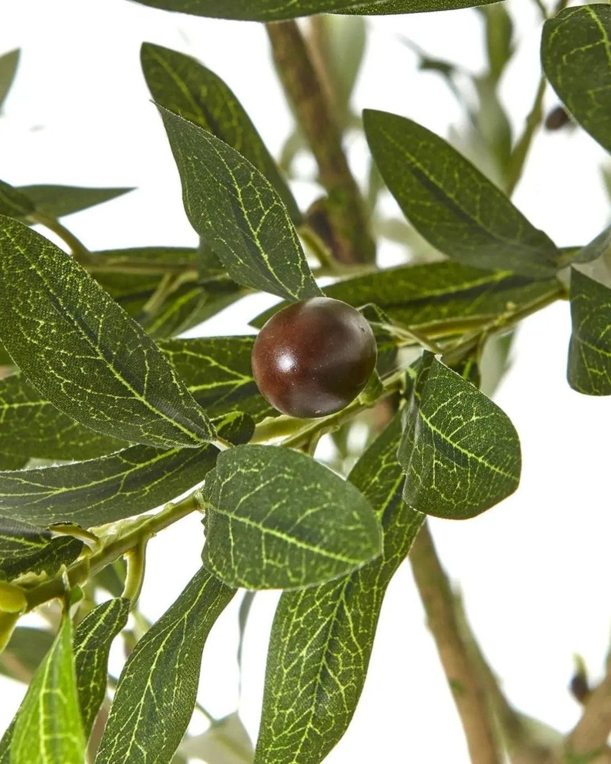 Artificial Potted Olive Tree - Huge - Apulia - Faux Plants & FlowersFaux Plants & Flowers - Lulu Loves Home