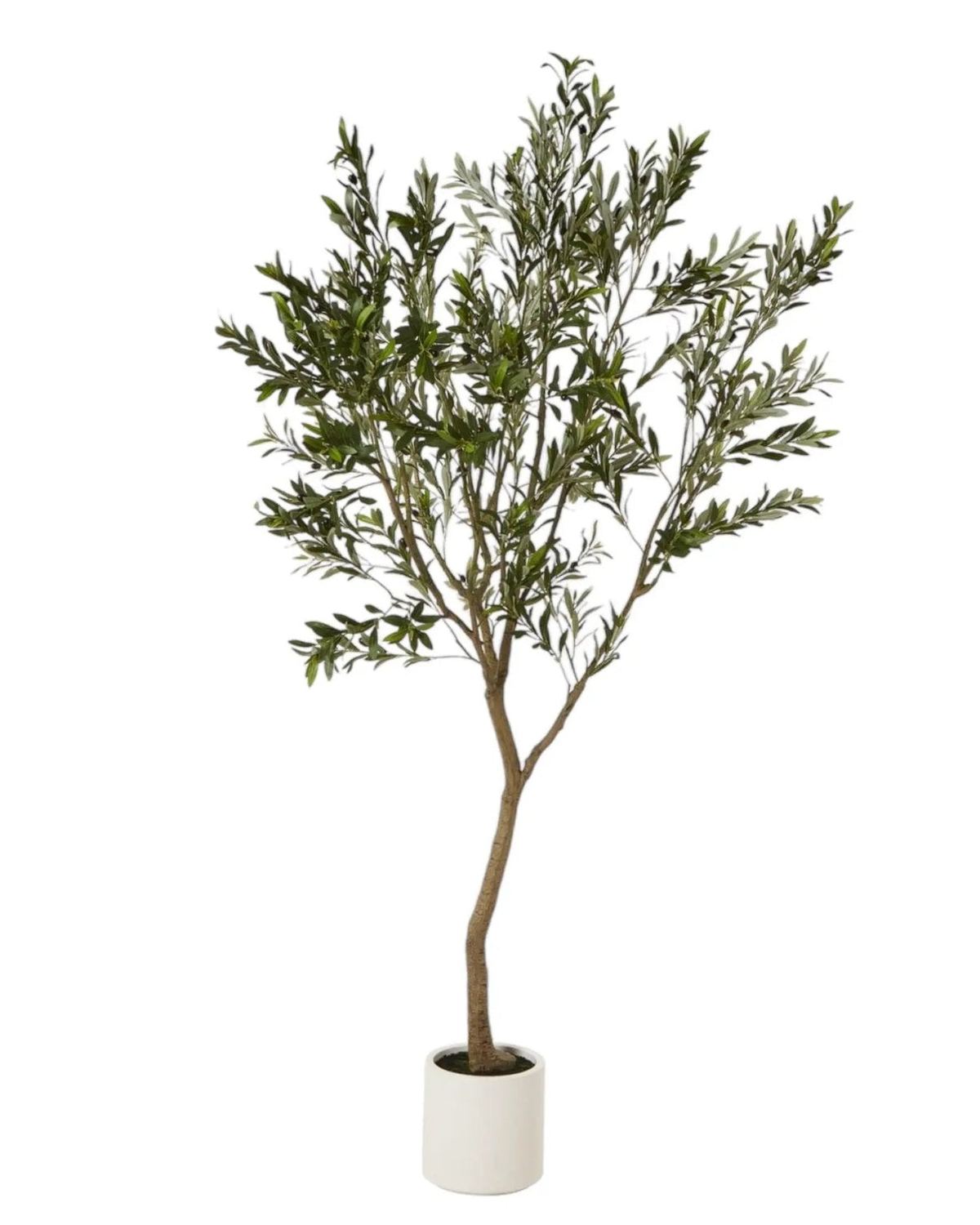 Artificial Potted Olive Tree - Huge - Apulia - Faux Plants & FlowersFaux Plants & Flowers - Lulu Loves Home