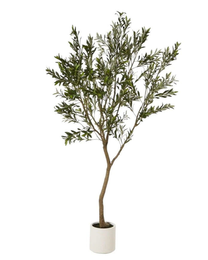 Artificial Potted Olive Tree - Huge - Apulia - Faux Plants & FlowersFaux Plants & Flowers - Lulu Loves Home