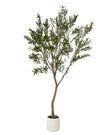 Artificial Potted Olive Tree - Huge - Apulia - Faux Plants & FlowersFaux Plants & Flowers - Lulu Loves Home