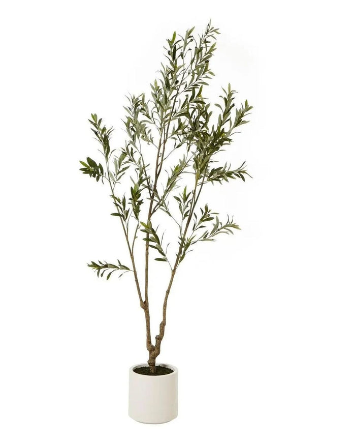 Artificial Potted Olive Tree - Medium - Apulia - Faux Plants & FlowersFaux Plants & Flowers - Lulu Loves Home