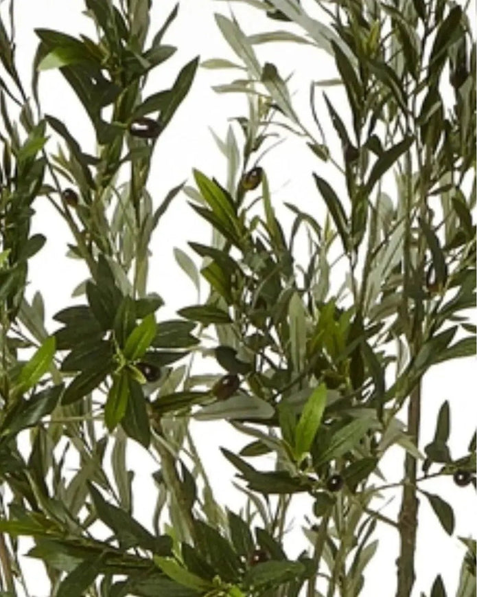 Artificial Potted Olive Tree - Medium - Apulia - Faux Plants & FlowersFaux Plants & Flowers - Lulu Loves Home