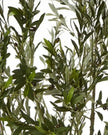 Artificial Potted Olive Tree - Medium - Apulia - Faux Plants & FlowersFaux Plants & Flowers - Lulu Loves Home