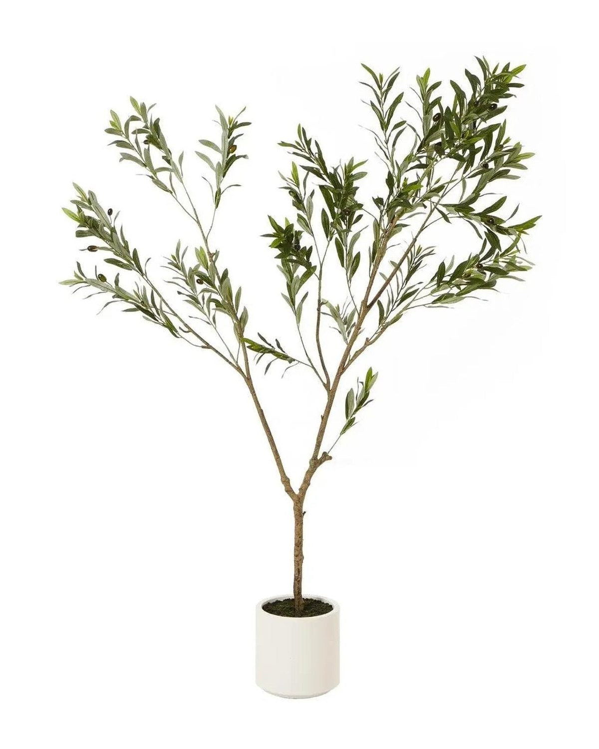 Artificial Potted Olive Tree - Medium - Apulia - Faux Plants & FlowersFaux Plants & Flowers - Lulu Loves Home