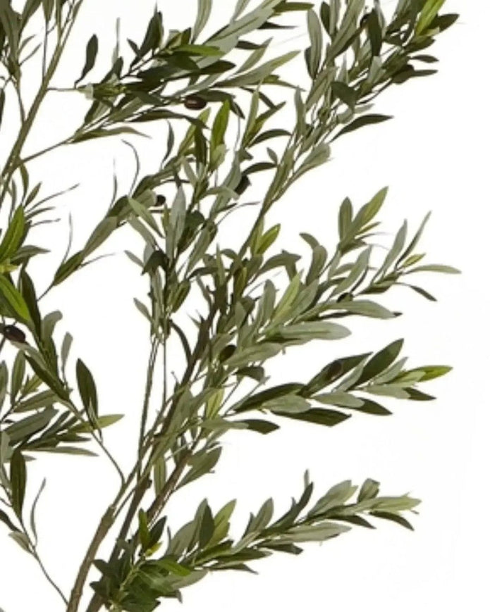 Artificial Potted Olive Tree - Small - Apulia - Faux Plants & FlowersFaux Plants & Flowers - Lulu Loves Home