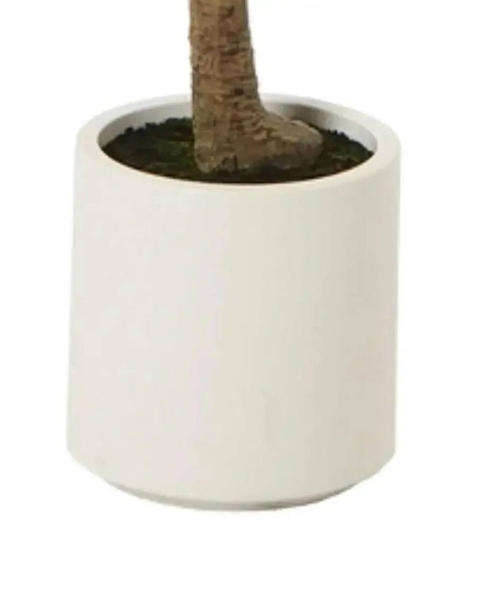 Artificial Potted Olive Tree - Small - Apulia - Faux Plants & FlowersFaux Plants & Flowers - Lulu Loves Home