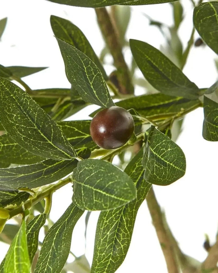 Artificial Potted Olive Tree - Small - Apulia - Faux Plants & FlowersFaux Plants & Flowers - Lulu Loves Home