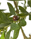 Artificial Potted Olive Tree - Small - Apulia - Faux Plants & FlowersFaux Plants & Flowers - Lulu Loves Home