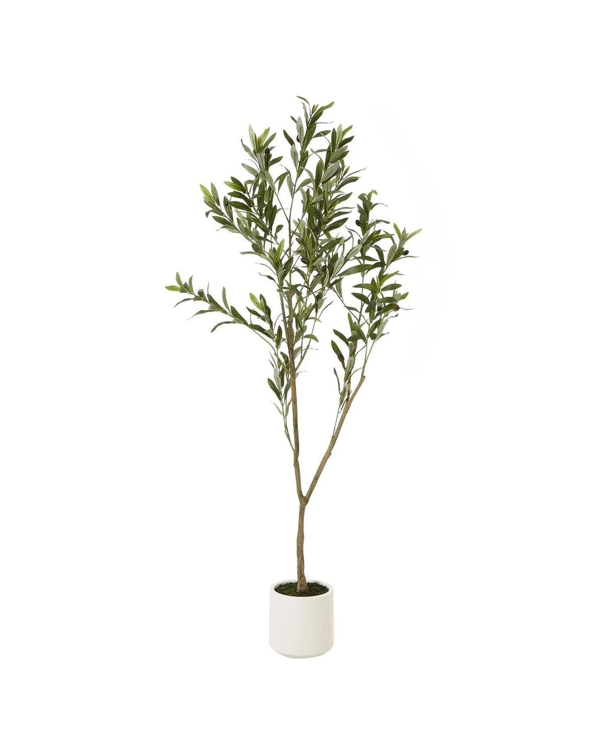 Artificial Potted Olive Tree - Small - Apulia - Faux Plants & FlowersFaux Plants & Flowers - Lulu Loves Home
