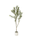Artificial Potted Olive Tree - Small - Apulia - Faux Plants & FlowersFaux Plants & Flowers - Lulu Loves Home