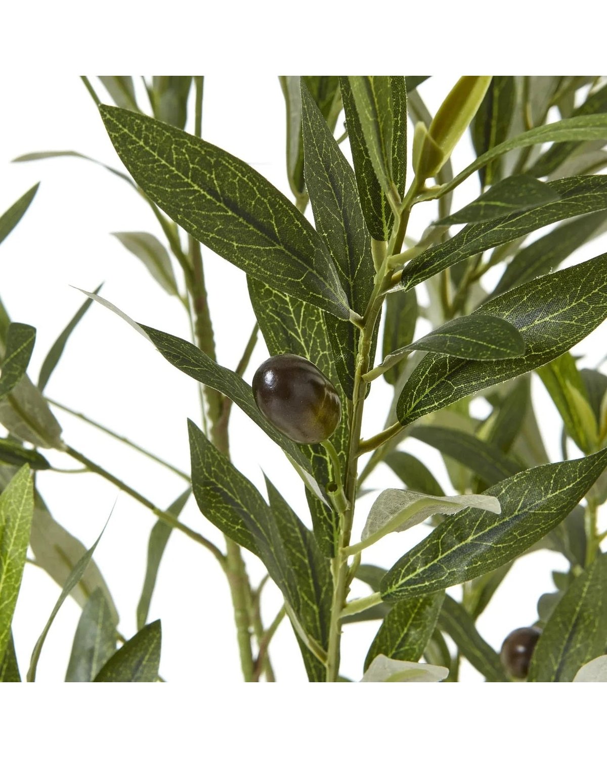 Artificial Potted Olive Tree - Small - Apulia - Faux Plants & FlowersFaux Plants & Flowers - Lulu Loves Home