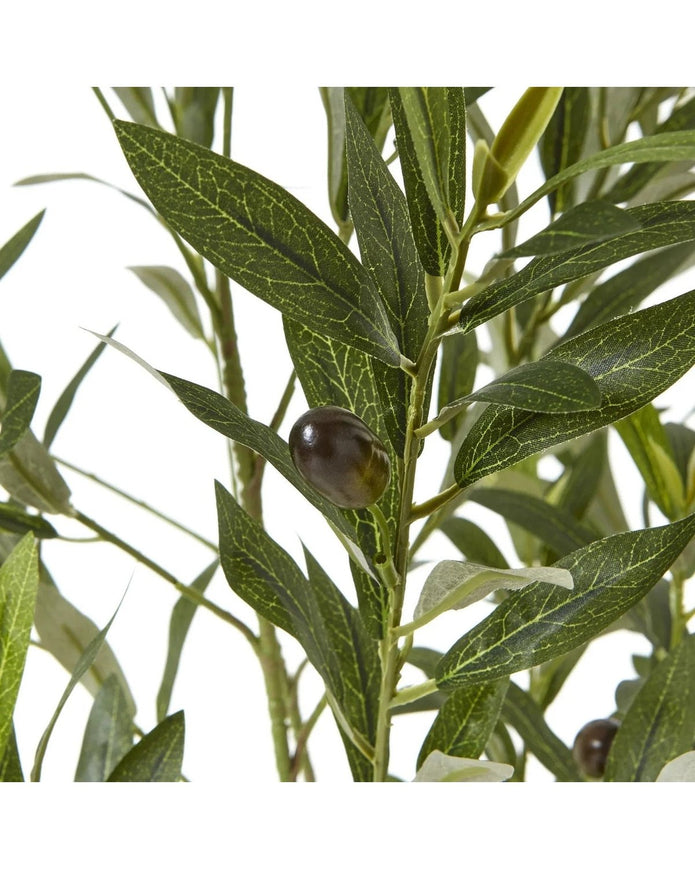 Artificial Potted Olive Tree - Small - Apulia - Faux Plants & FlowersFaux Plants & Flowers - Lulu Loves Home