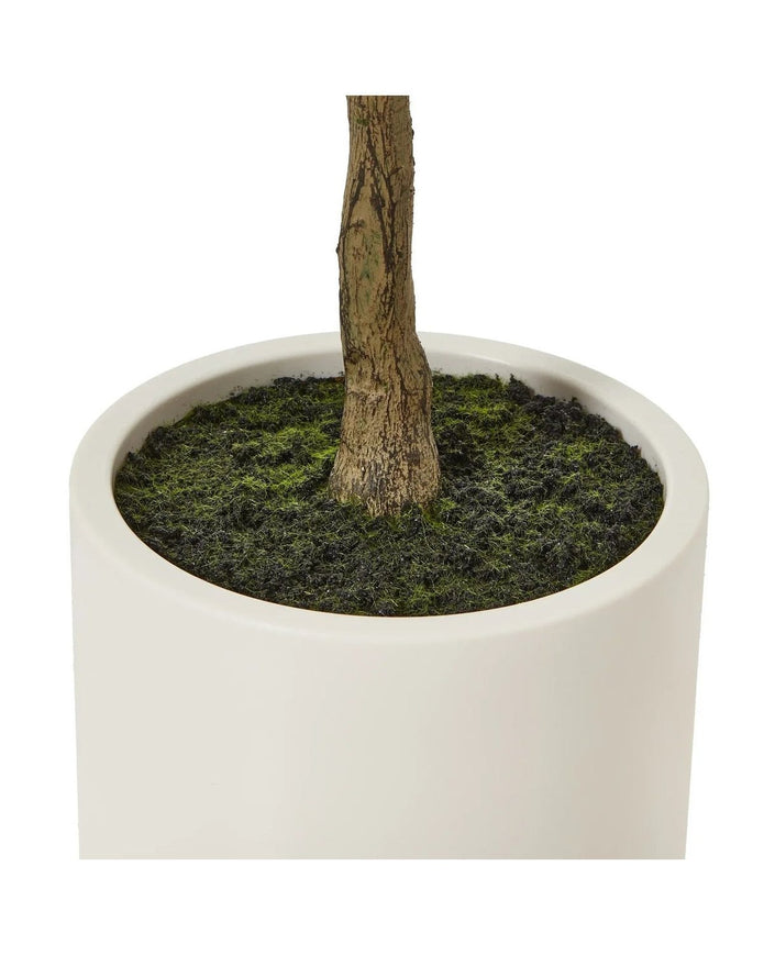 Artificial Potted Olive Tree - Small - Apulia - Faux Plants & FlowersFaux Plants & Flowers - Lulu Loves Home