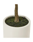 Artificial Potted Olive Tree - Small - Apulia - Faux Plants & FlowersFaux Plants & Flowers - Lulu Loves Home