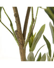 Artificial Potted Olive Tree - Small - Apulia - Faux Plants & FlowersFaux Plants & Flowers - Lulu Loves Home
