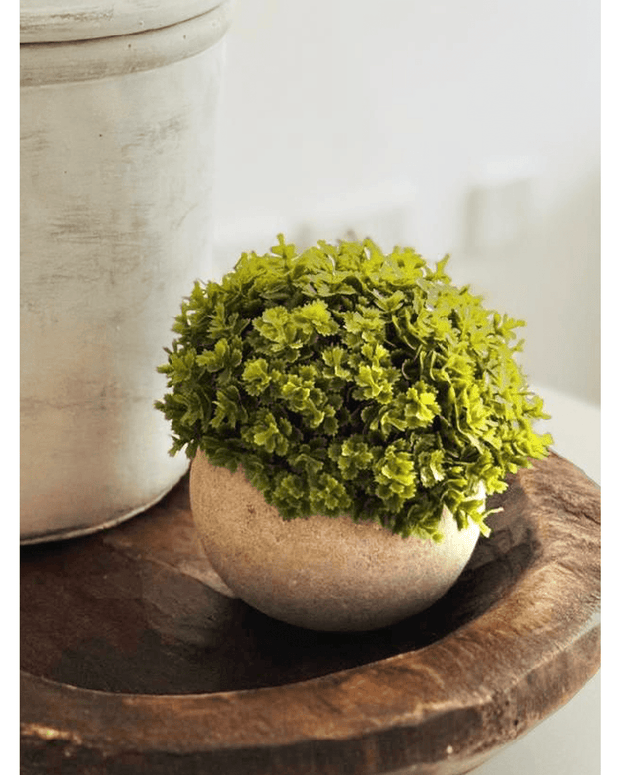 Artificial Potted Small Dark Green Hebe Plant