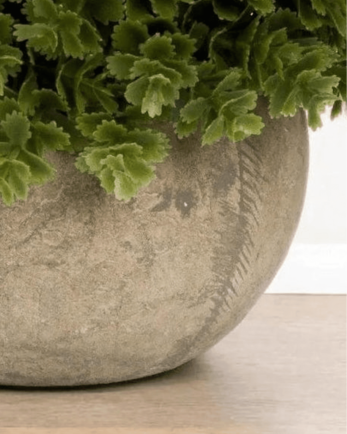 Artificial Potted Small Dark Green Hebe Plant