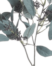 Artificial Seaded Eucalyptus Stem - Set Of Three