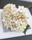 Artificial Short Soft Cream Hydrangea Stem - Faux Plants & FlowersFaux Plants & Flowers - Lulu Loves Home