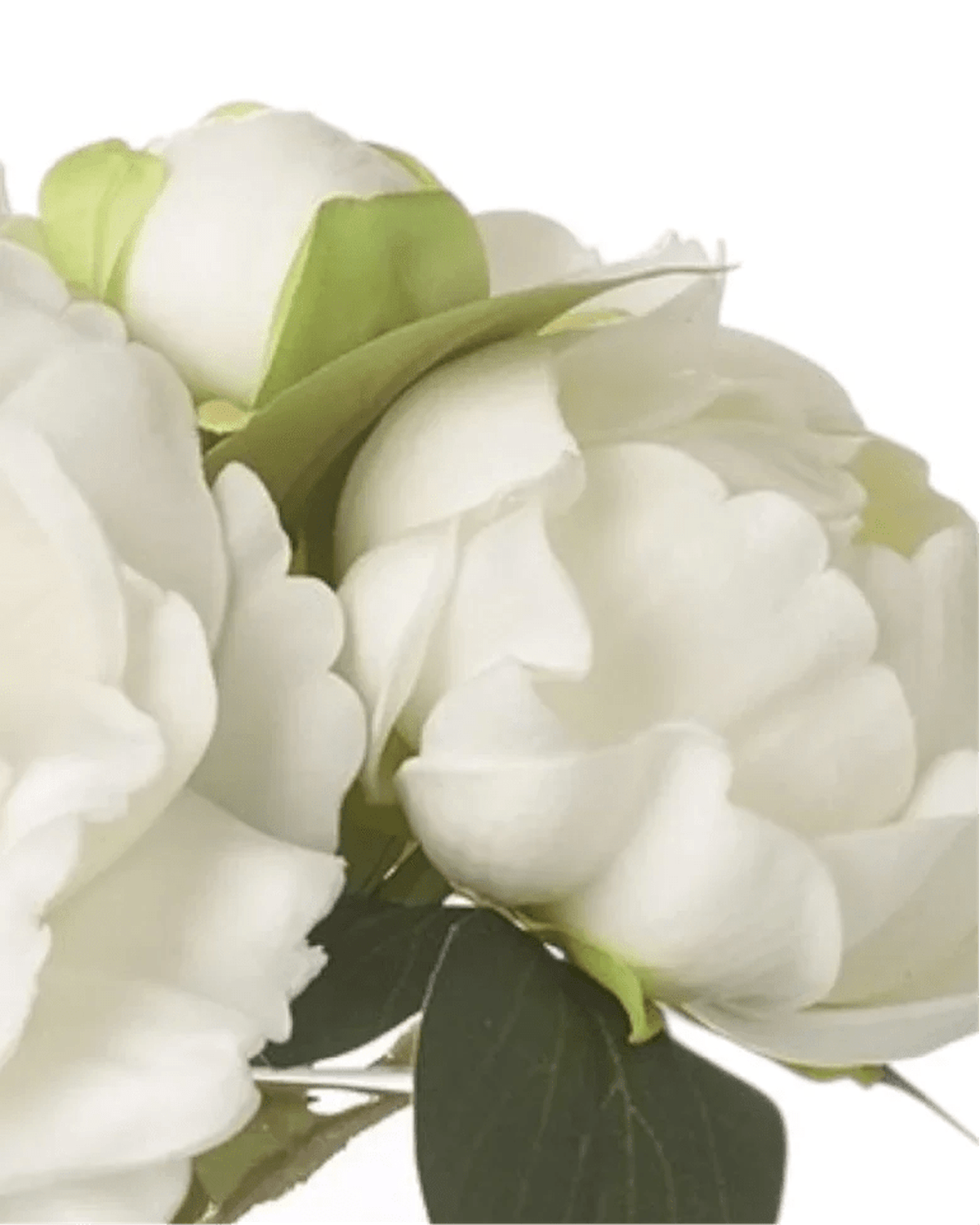 Artificial Soft White And Pink Magnolia Flower Arrangement In Glass Vase - Faux Plants & FlowersFaux Plants & Flowers - Lulu Loves Home