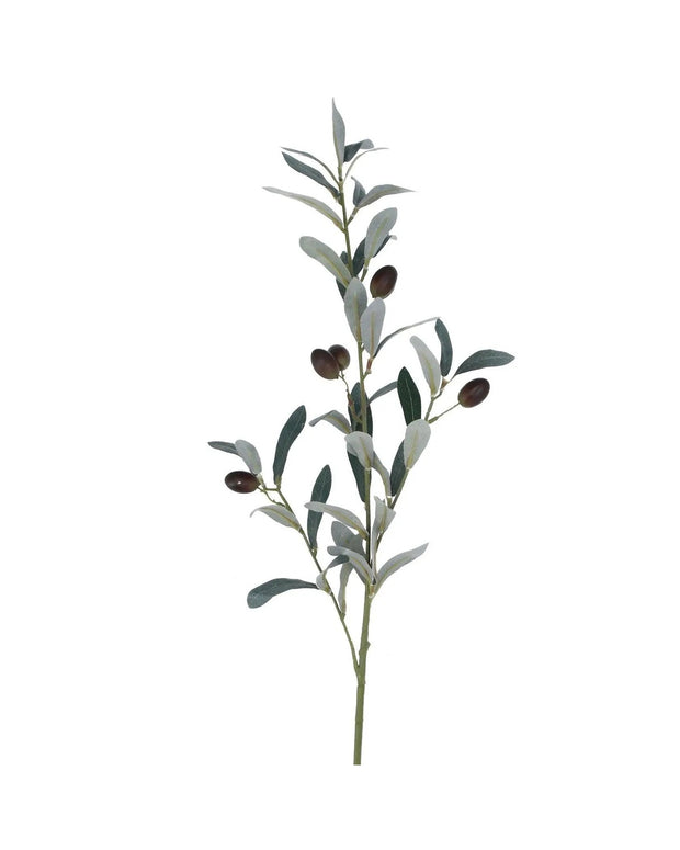 Artificial Tall Olive Branch - Faux Botanical Home Styling - Faux Plants & FlowersFaux Plants & Flowers - Lulu Loves Home