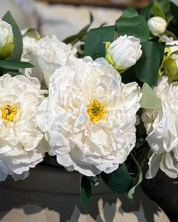 White Open Double Peony - Set of Three