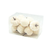 White Velvet Pumpkins - Set Of 12