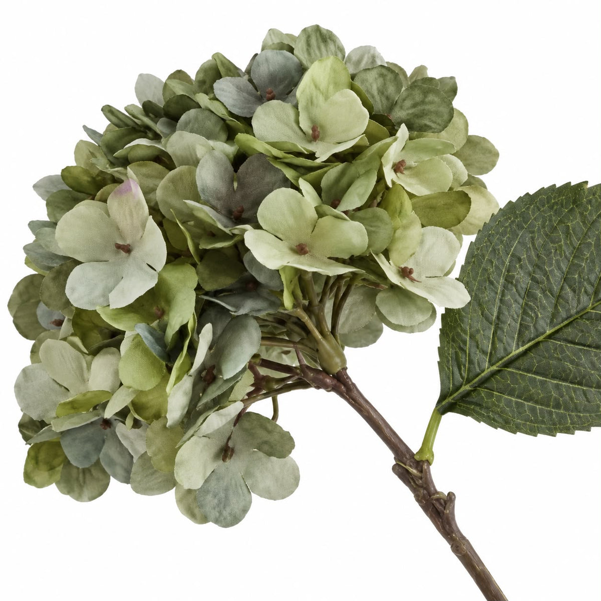 Artificial Short Sage Green Hydrangea Stem, close-up of the green flower head and textured leaf