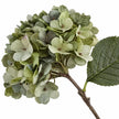 Artificial Short Sage Green Hydrangea Stem, close-up of the green flower head and textured leaf