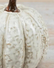 Neutral Ceramic Pumpkin Decor